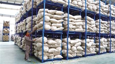 贵州盘州姜业生产车间